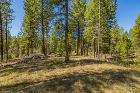 9 Collins Ct, Mccall, ID 83638 photo 5
