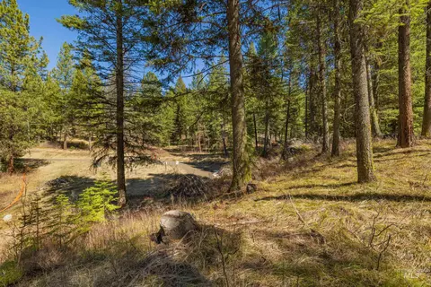 9 Collins Ct, Mccall, ID 83638 photo 4