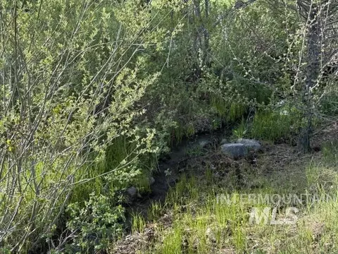 Other - 140 Brownlee Loop Rd, Horseshoe Bend, ID 83629 photo 8 of 13