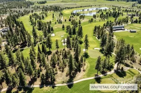 303 Mcbride St, Mccall, ID 83638 photo 8