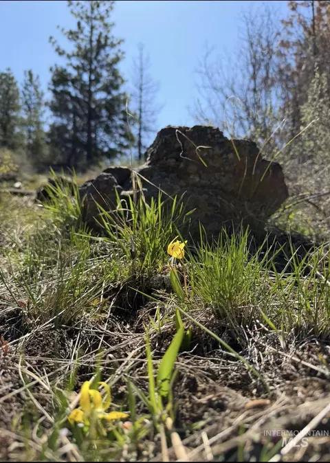 lot20 Crow Ct, Boise, ID 83716