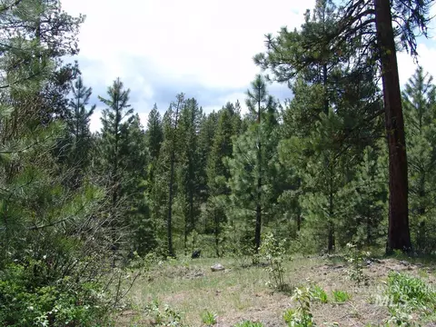 28 Rehn Loop, Cascade, ID 83611 photo 5