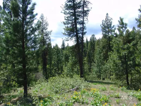 28 Rehn Loop, Cascade, ID 83611 photo 3