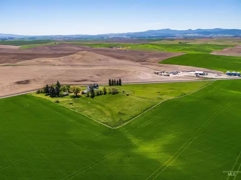 Exterior - 1405 Duffield Flat Rd, Potlatch, ID 83855 photo 6 of 6