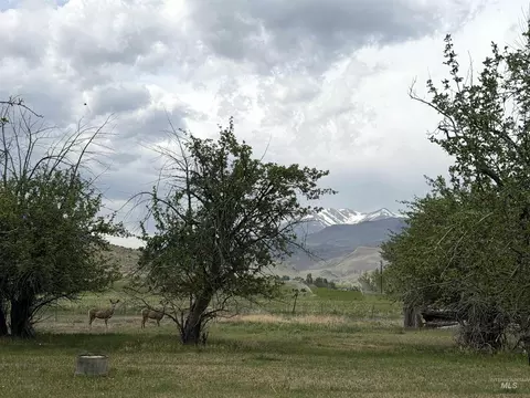504 Lanier, Challis, ID 83226 photo 7