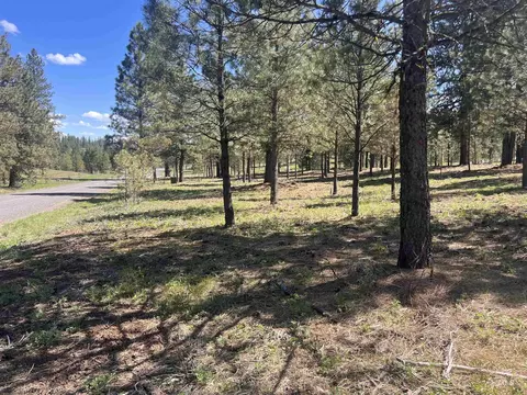 lot44 Old Hwy 95, New Meadows, ID 83654