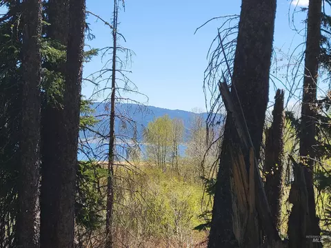 1602 Bear Trail Loop, Donnelly, ID 83615