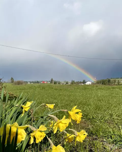 637 Leitch Creek Rd #(+ 5AC TOUCH OF CORY ESTATES, Kooskia, ID 83539