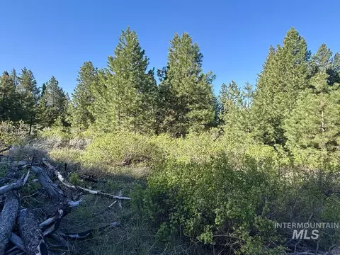 422 Collier View Rd, Cascade, ID 83611 photo 4