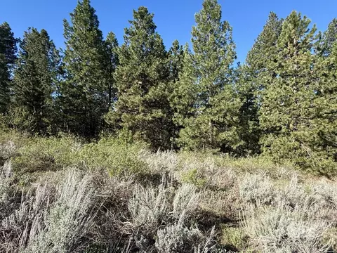 422 Collier View Rd, Cascade, ID 83611 photo 7