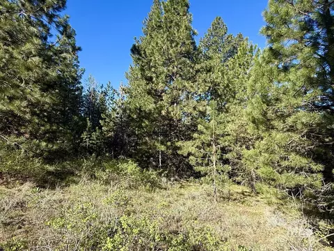 422 Collier View Rd, Cascade, ID 83611 photo 10