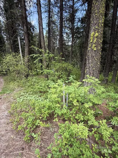 518 Susan Rd, Cascade, ID 83611 photo 7