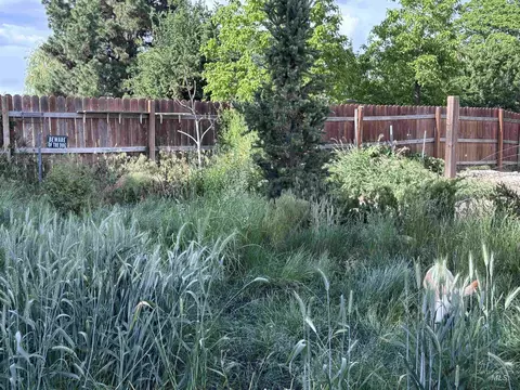 Exterior - 2152 Artesian Rd, Eagle, ID 83616 photo 7 of 14