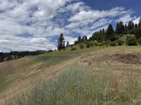 618 Old Peck Grade, Lenore, ID 83541 photo 7