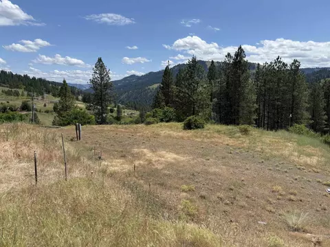 618 Old Peck Grade, Lenore, ID 83541 photo 5