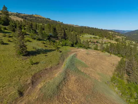 618 Old Peck Grade, Lenore, ID 83541 photo 20