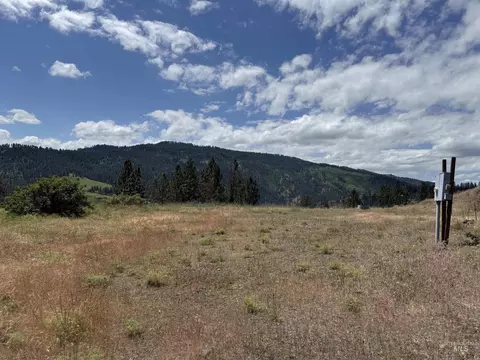 618 Old Peck Grade, Lenore, ID 83541 photo 9