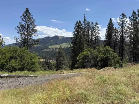 618 Old Peck Grade, Lenore, ID 83541 photo 8