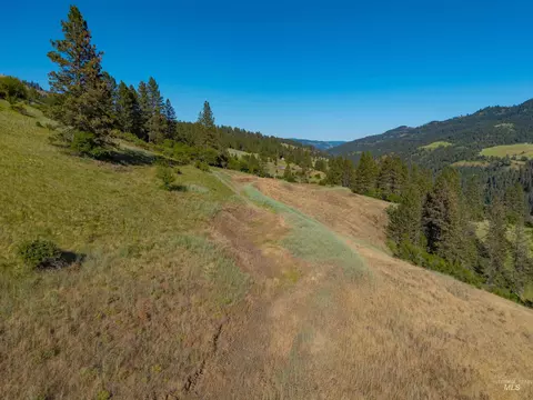 618 Old Peck Grade, Lenore, ID 83541 photo 4