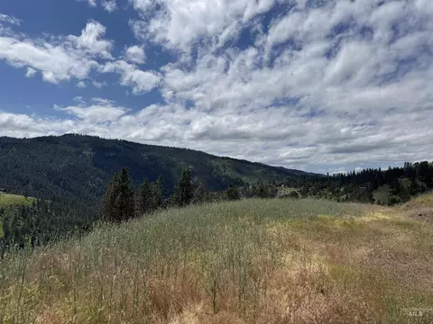 618 Old Peck Grade, Lenore, ID 83541 photo 10