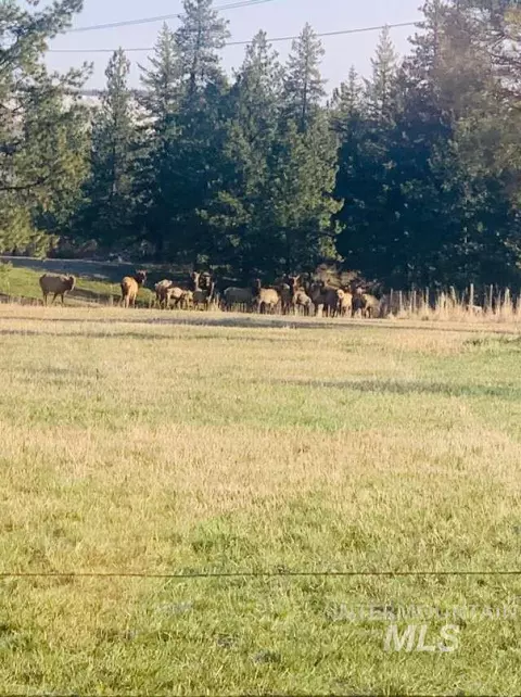 Other - 1021 NW Smokey Bear Ln, Kendrick, ID 83537 photo 4 of 18