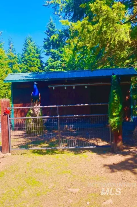 Exterior - 1021 NW Smokey Bear Ln, Kendrick, ID 83537 photo 18 of 26