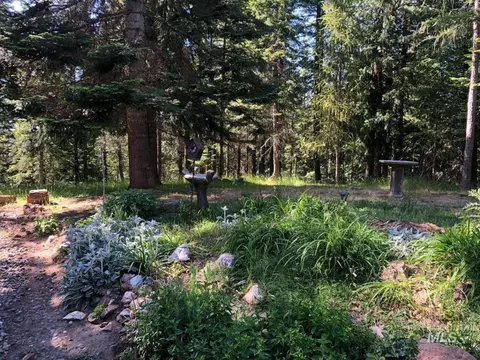 Exterior - 1021 NW Smokey Bear Ln, Kendrick, ID 83537 photo 5 of 26
