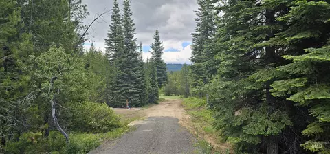 23 Sawtooth Loop, Cascade, ID 83611