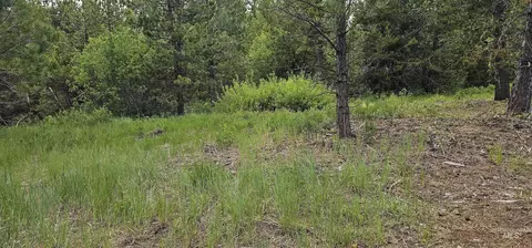 23 Sawtooth Loop, Cascade, ID 83611 photo 41