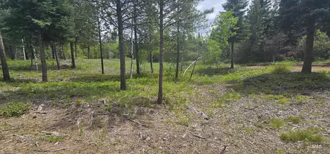 23 Sawtooth Loop, Cascade, ID 83611 photo 17