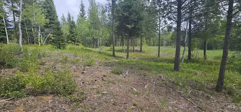 23 Sawtooth Loop, Cascade, ID 83611 photo 18