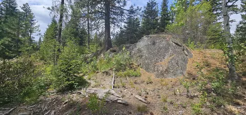 23 Sawtooth Loop, Cascade, ID 83611 photo 15