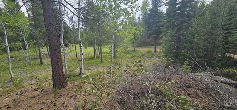 23 Sawtooth Loop, Cascade, ID 83611 photo 19