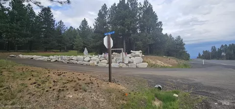 23 Sawtooth Loop, Cascade, ID 83611 photo 24