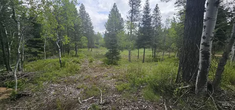 23 Sawtooth Loop, Cascade, ID 83611 photo 14