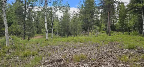23 Sawtooth Loop, Cascade, ID 83611 photo 40