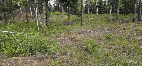 23 Sawtooth Loop, Cascade, ID 83611 photo 13