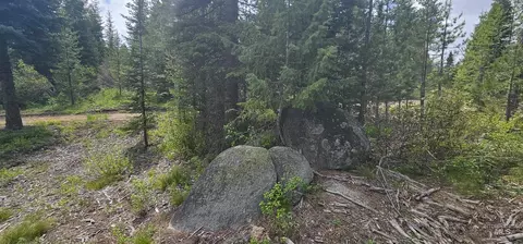23 Sawtooth Loop, Cascade, ID 83611 photo 16