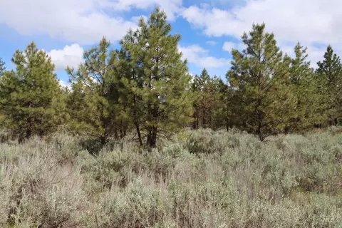 7 Bitterroot Ct, Mccall, ID 83638 photo 3