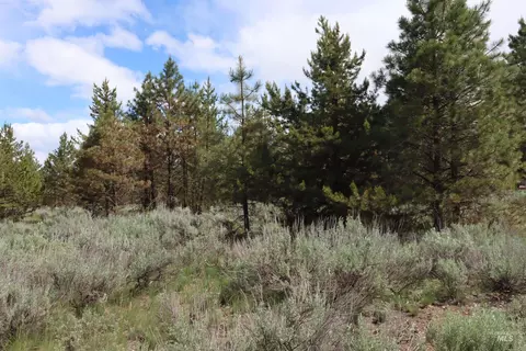7 Bitterroot Ct, Mccall, ID 83638 photo 5