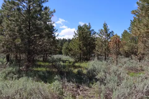 7 Bitterroot Ct, Mccall, ID 83638 photo 12