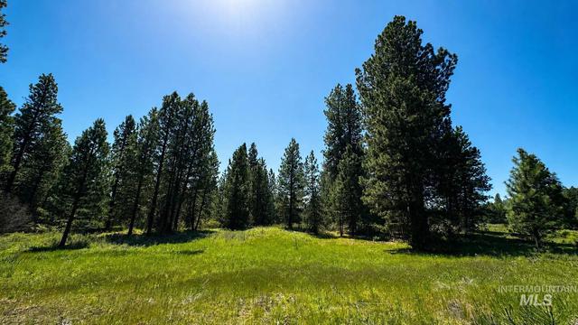 85 Nelsen Ave, Idaho City, ID 83631