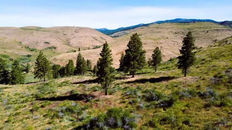 tbd Advent Gulch Rd, Cambridge, ID 83610
