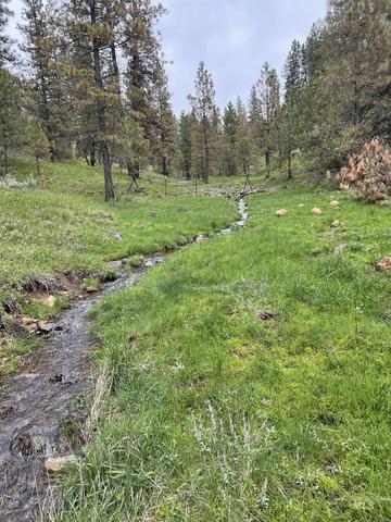 tbd Fruitvale Glendale Rd, Council, ID 83612