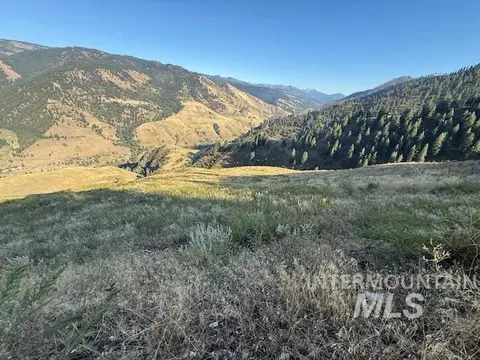 144 Chukar Run, Pollock, ID 83547 photo 3