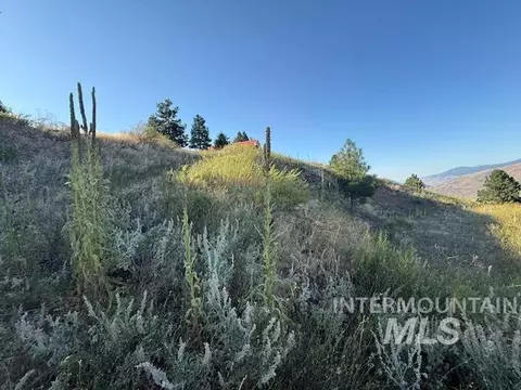 144 Chukar Run, Pollock, ID 83547 photo 7