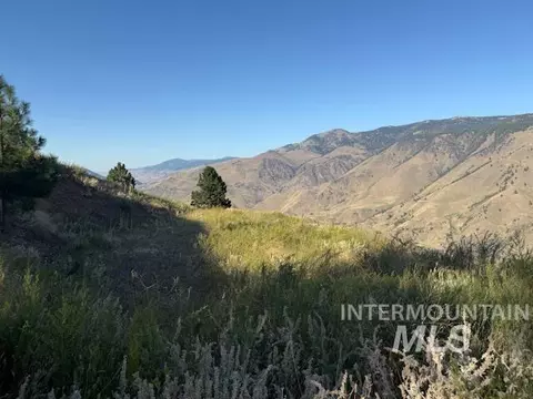 144 Chukar Run, Pollock, ID 83547 photo 9