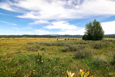 tbd Wilderness Lake Rd, High Valley, ID 83611 photo 5
