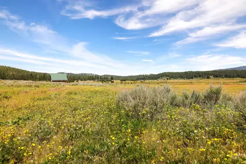 tbd Wilderness Lake Rd, High Valley, ID 83611 photo 6