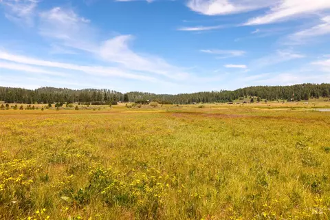 tbd Wilderness Lake Rd, High Valley, ID 83611 photo 11